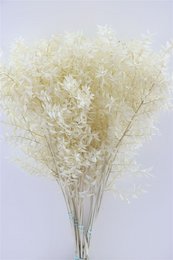 Dried ruscus flowers in white, yellow, salmon, and green colors. Delicate, wispy floral stems suitable for bouquets, arrangements, and home decor.