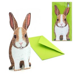 A 3D pop-up card featuring a detailed illustration of a rabbit with large ears and a white and brown fur pattern.