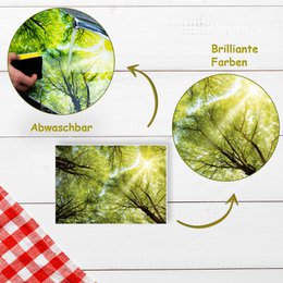 Artipics Manteles individuales Manteles individuales Lavable 4 piezas Lichtblick manteles individuales de plástico 42 x 30 cm Mantel natural, motivo de bosque especialmente bonito con reflejos de luz