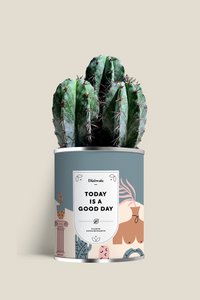 TODAY IS A GOOD DAY - Large model