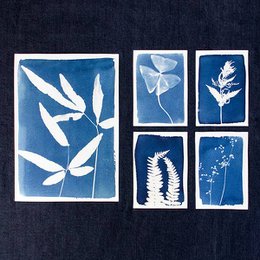 Pack of 5 handmade cyanotype display models, featuring various plant and leaf silhouettes in shades of blue. The models are not intended for resale.