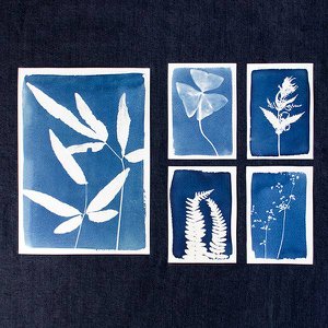 Pakket van 5 handgemaakte Cyanotype-displaymodellen - niet voor wederverkoop