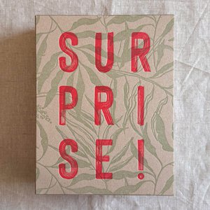 Gift box (empty) / Surprise! / Letterpress print