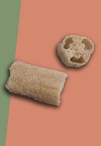 Dschungelschwamm extra groß