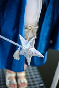 Toverstaf "Zilveren Pailletten"