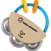 Tiny Tambourine