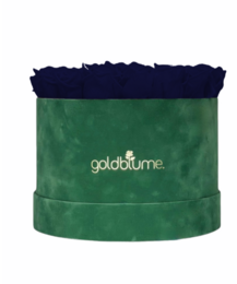 Colección Terciopelo Verde