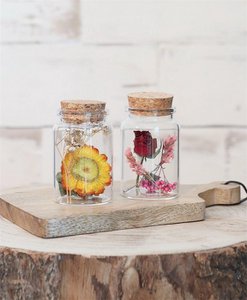 Droogbloemen in glas - 7,5 cm / 12,5 cm