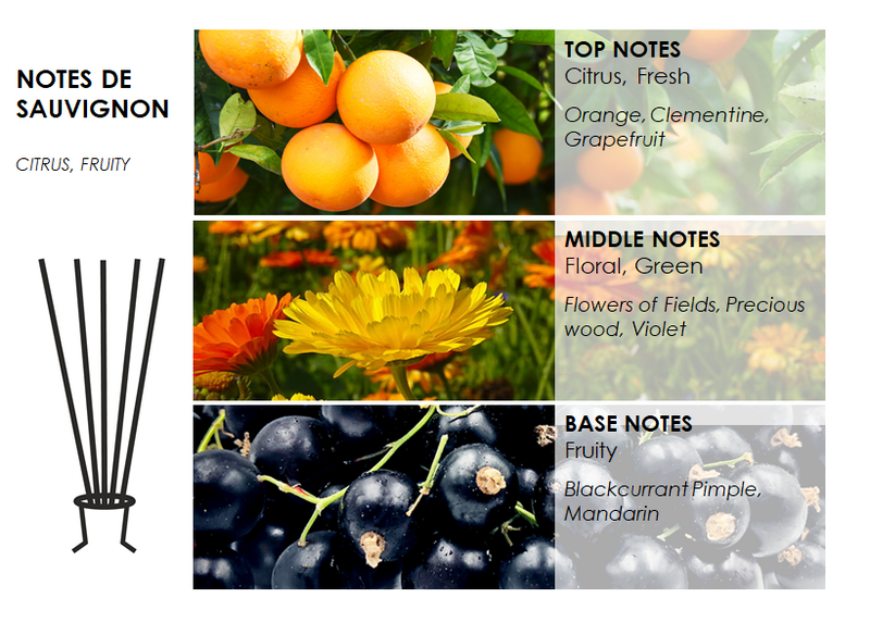 NOTES DE SAUVIGNON "ADORE" PARFUM D'AMBIANCE DE LUXE