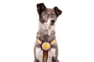 Stickers - Repareer het! - Smiley, 8 cm