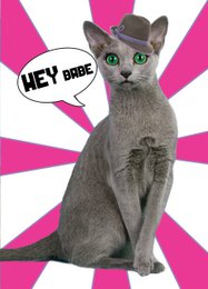  A set of 10 greeting cards with the text "Hey Babe" on a pink and white background, featuring a gray cat with a speech bubble.