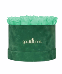Colección Terciopelo Verde