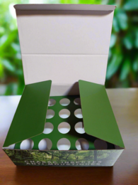  Green display box with white text "NEW Pro-Tect - Chasse-Insects Anti Moustique BALM - 30ml DISPLAY BOX ONLY - NO BALM INCLUDED"