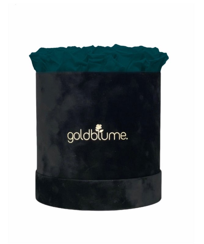 Velvet Black Collection