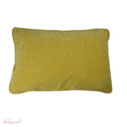 Rectangular lime green velvet cushion.