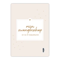 Fyllbooks Mijlpaalkaarten set Zwangerschap