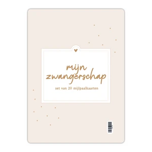 Fyllbooks Mijlpaalkaarten set Zwangerschap