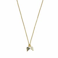 Necklace Dalmatian Jasper & Shell Heart - Gold