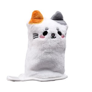 Washandschoen voor katten