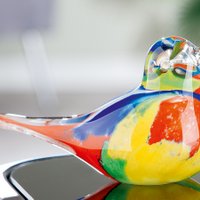 Glas Vogel "Colore" VE 4