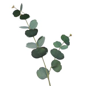 Decoratieve fleur groen blad donker H73cm