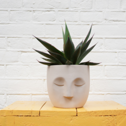 Ceramic planter in a sand color with a succulent plant. The planter has a simple, minimalist design with a face-like shape.