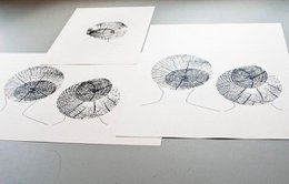 Søstre - serigrafi