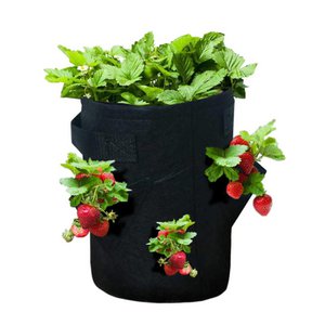 Erdbeer-Growbag 27 Liter
