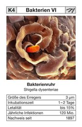 Quartett "Seuchen 2" - jetzt mit aktueller COVID-19 Zusatzkarte