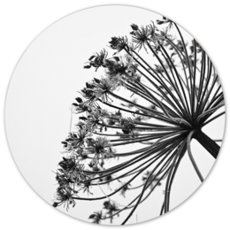 Round wall circle in blue color, made of Forex or Dibond material, available in various sizes from 12 cm to 140 cm in diameter.