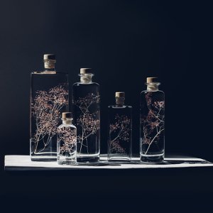 Het Herbarium - onderwaterplant Pink Gypsophila