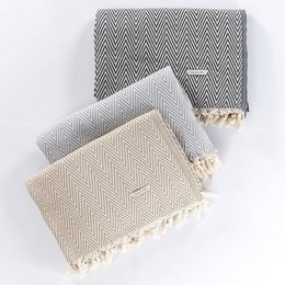 Merich Cotton Chevron Throw Blanket