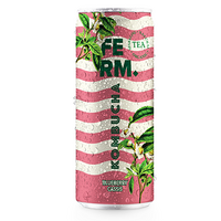 Ferm Kombucha Blueberry Blackcurrant