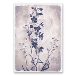 Vintage-style wall art featuring a delicate floral design in shades of blue and gray. The image has a soft, textured appearance, creating a timeless, artistic feel. This wall decor would complement a variety of interior styles, from rustic to modern.