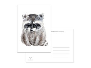 Postcard Racoon