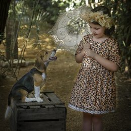 Dora Organic Dress - A floral print dress for young girls, featuring a knee-length skirt and short sleeves. The dress is made of organic cotton material.