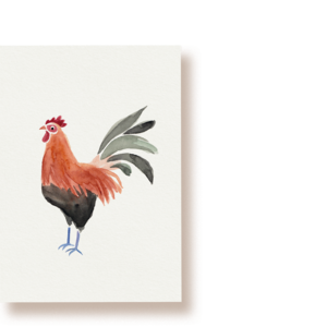 Henri Hahn | Postkarte