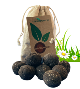 10 Samenbomben in einer Tüte: Gänseblümchenmischung