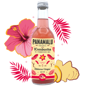 HIBISCUS-GINGER KOMBUCHA (BOX DA 6 BOTTIGLIE 330ml)