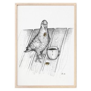 Art Print - Pigeon