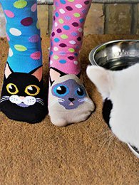 Chaussettes Catwalk Cat 37-42 Cotes