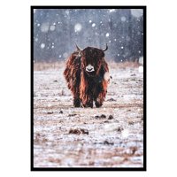 Bison in the Rain poster
