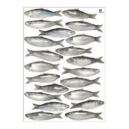 Akvarel sardin wallsticker