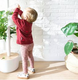 Zelfbewegende Verticale Plantenbak 3 potten