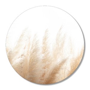 Muurcirkel - Pampasgras 20 cm