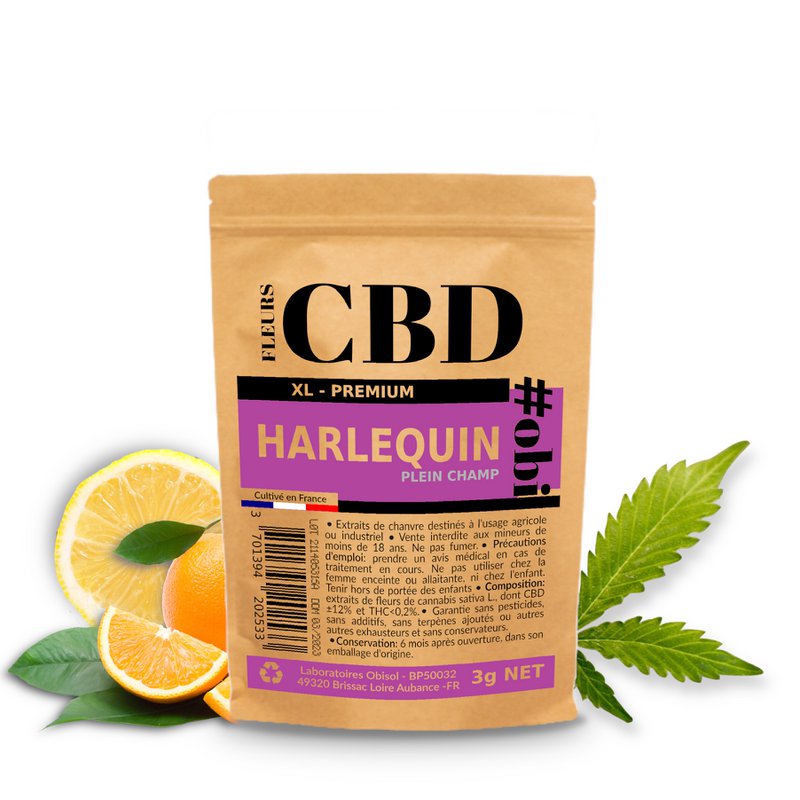 Harlequin XL CBD blomster