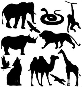 Statische Aufkleber - Zoo