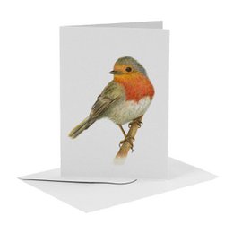 10 biglietti d'auguri con animali olandesi, busta inclusa - dipinti a mano da Mies to Go - cartolina - formato A6