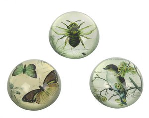 Press Paper Botanical 3 assorti