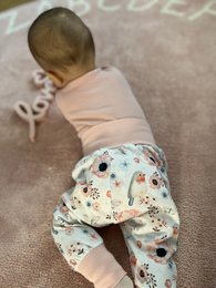 Babybloeiers bloemen vogels "Birds" wit oudroze